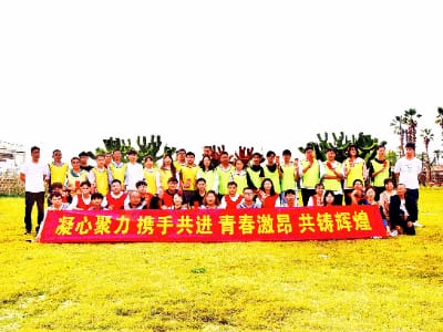 案例展示六